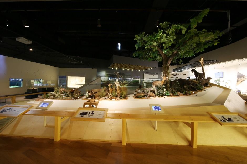 상주_국립낙동강생물자원관 (8)