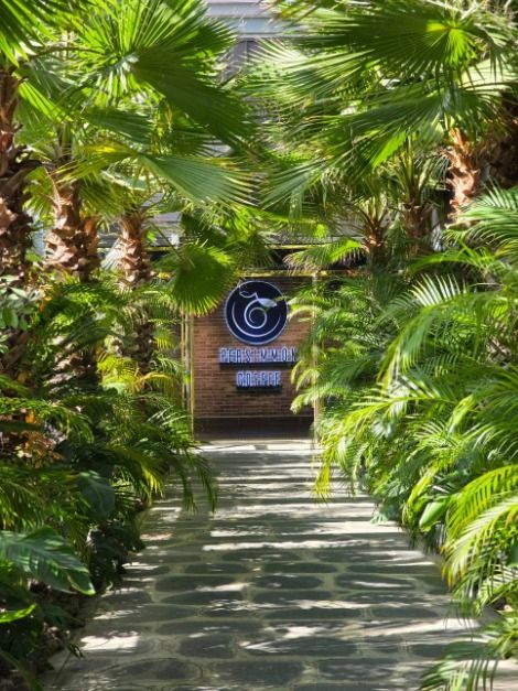 창원_퍼시먼 커피 (5)