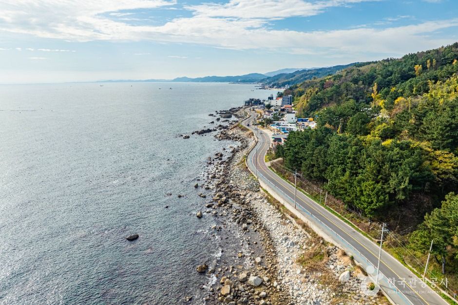 영덕 해안도로 드라이브