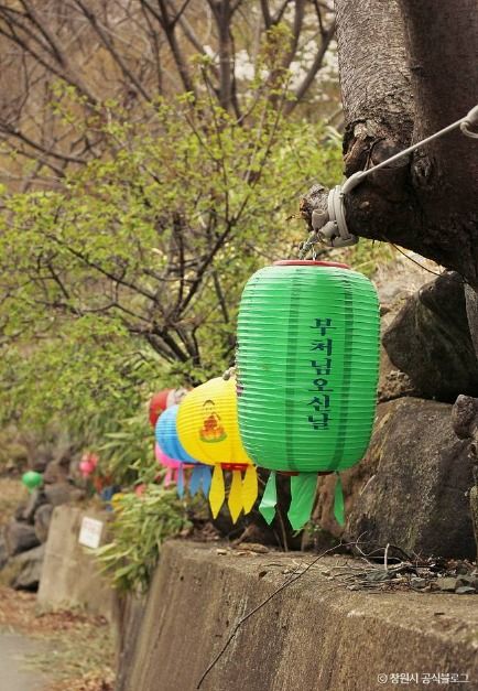 thumbnail-성흥사-3