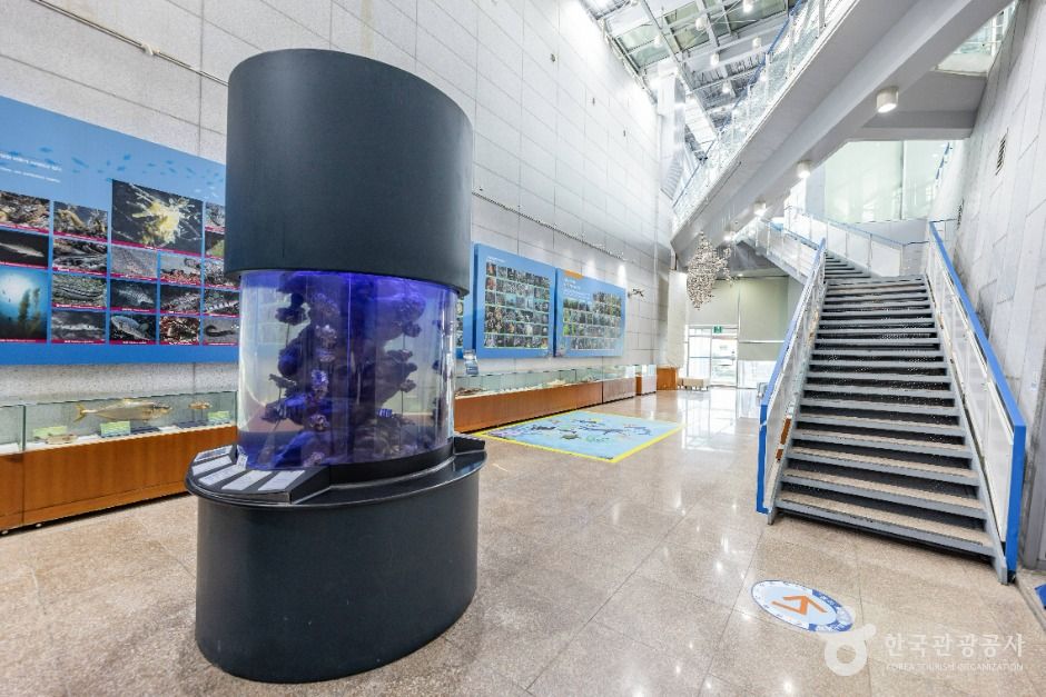 통영수산과학관