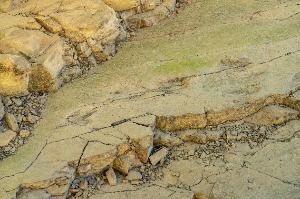 화순_서유리 공룡화석지(무등산권 국가지질공원) (6)