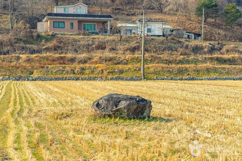 산청특리지석묘군