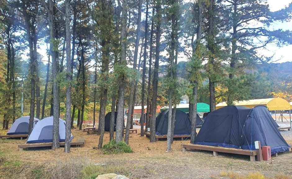 철원_유곡리평화마을캠핑장 (5)