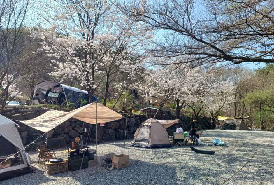 thumbnail-덕동골캠핑장-2