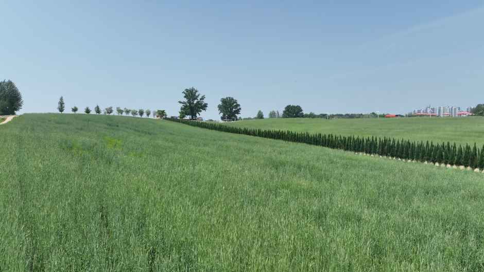 thumbnail-안성팜랜드-0