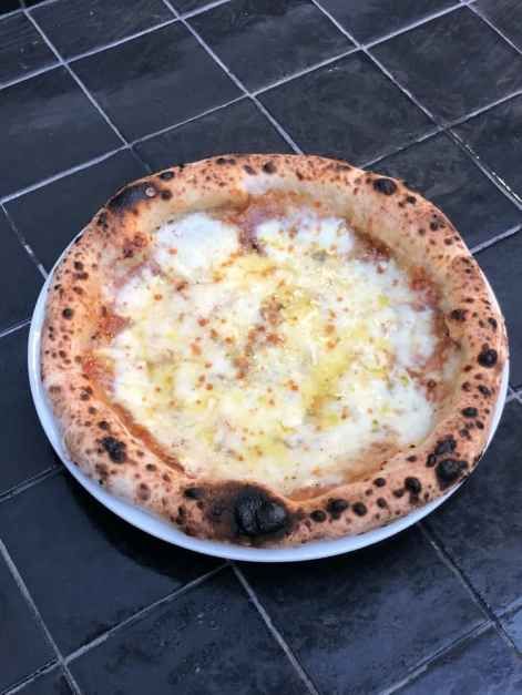 thumbnail-오브셀라-2