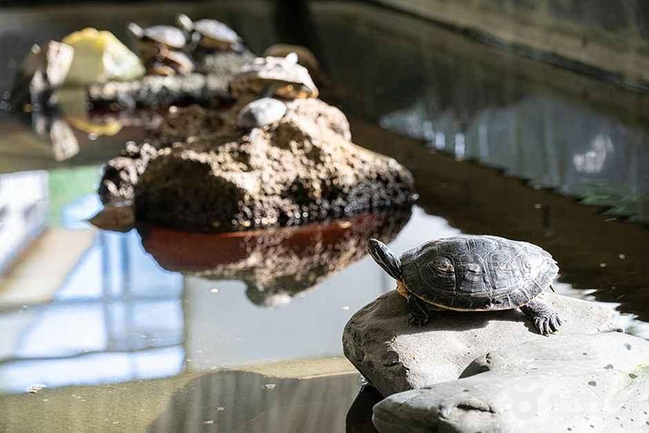 thumbnail-찬우물 체험동물농장-5