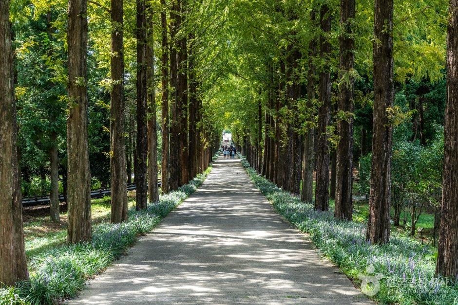 thumbnail-전남광주통합특별시 산림연구원-8