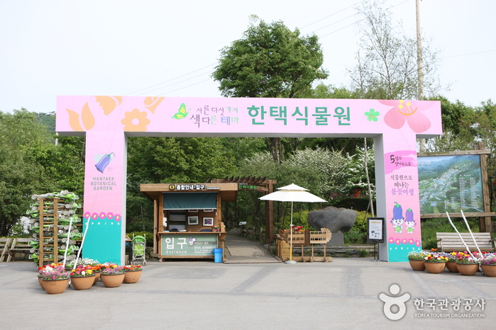 Hantaek Botanical Ga...