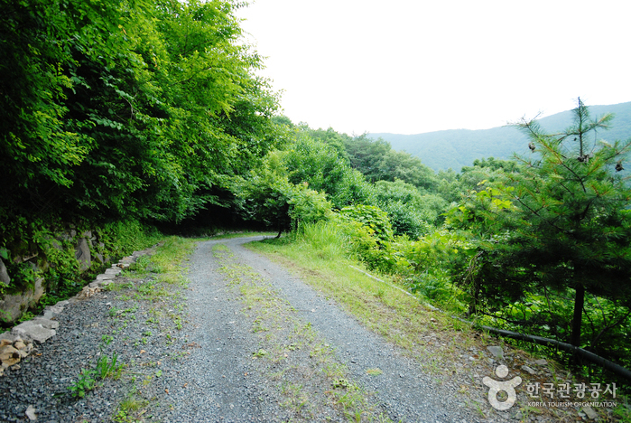 肝月山(간월산)