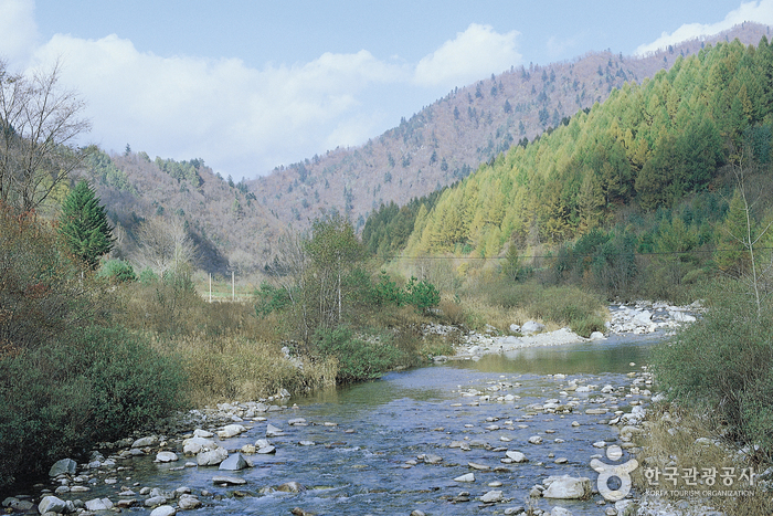 Odaesan National Park (오대산국립공원)
