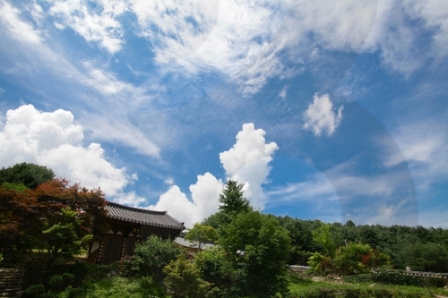 Gapyeong Baengnyeonsa Temple (백련사(가평))