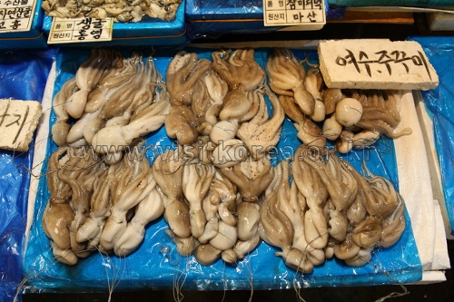 Noryangjin Fisheries Wholesale Market (노량진수산시장)