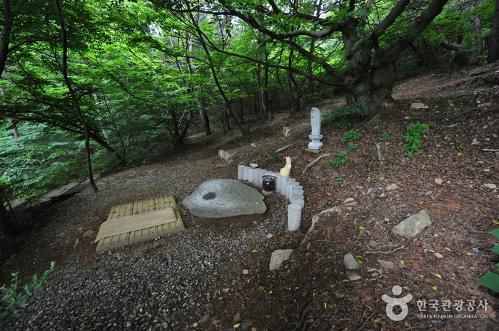 Yonggungsa Temple (Incheon) (용궁사 - 인천)