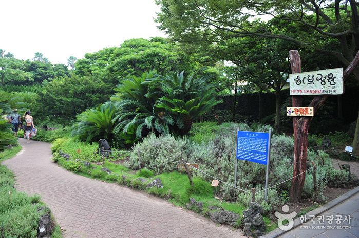 Hallim Park (한림공원)