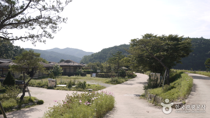 Yeongju Museom Village (영주 무섬마을)