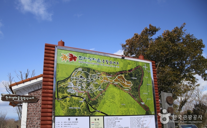 Halla Ecological Forest (한라생태숲)