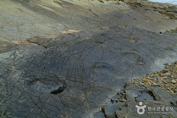 Fossilized Dinosaur Footprint Site Gain-ri, Changseon (창선 가인리 공룡발자국 화석산지)