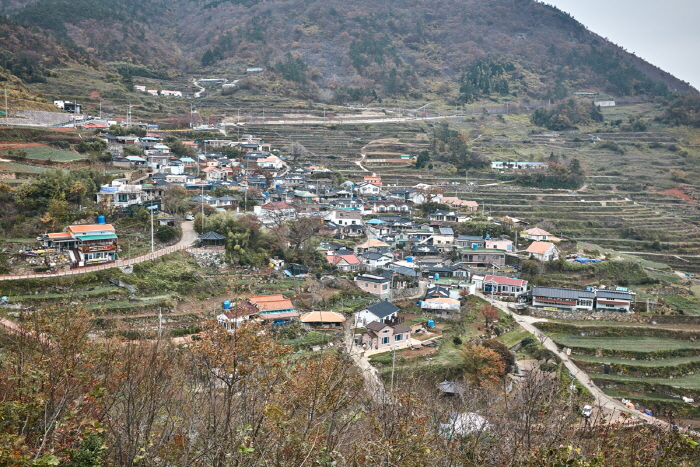 가천 다랭이마을 사진19