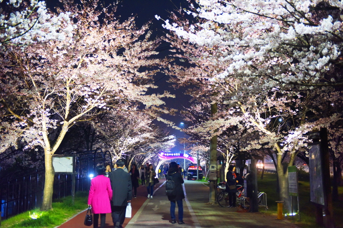 Parque Ecológico Samnak (삼락생태공원)