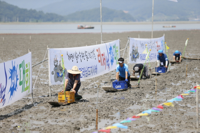 벌교갯벌레저뻘배대회 20180