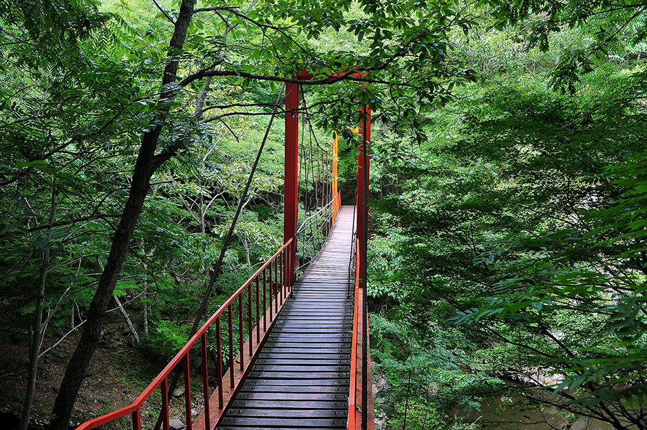 유치자연휴양림0