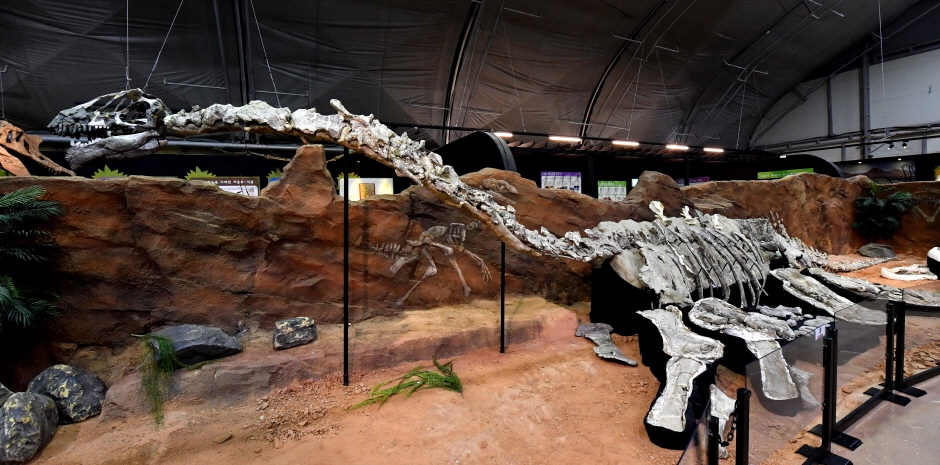 Expo Mundial de Dinosaurios de Goseong (경남고성공룡세계엑스포)