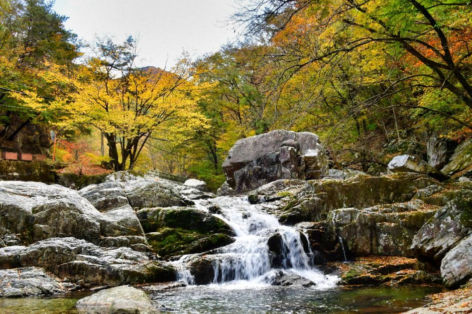 내원사계곡(양산)