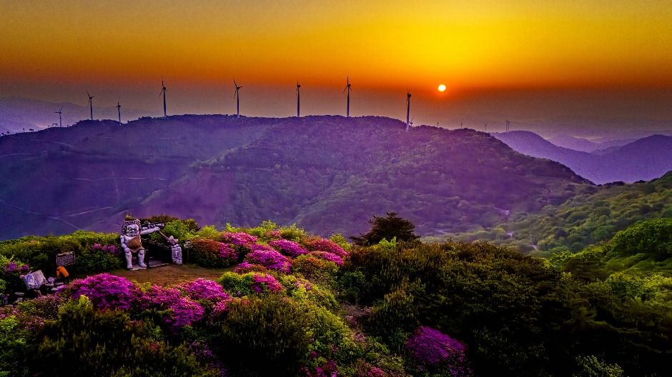 한우산 - 억새, 철쭉, 그리고 풍력발전기의 향연: 한우산의 절경 관련 이미지