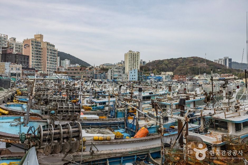부산_다대포항 (3)