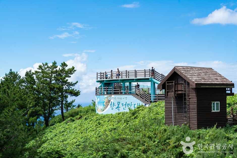 울릉도