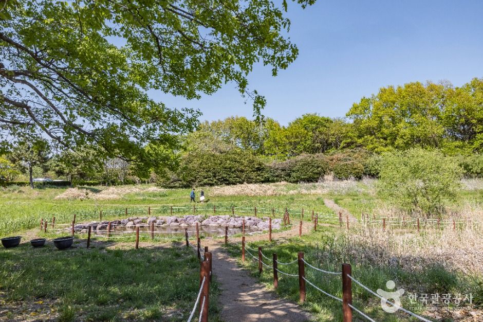 thumbnail-낙동강하구에코센터-28