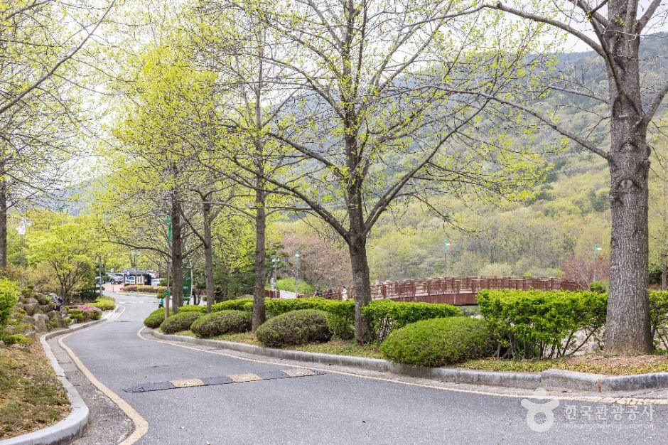 화명수목원