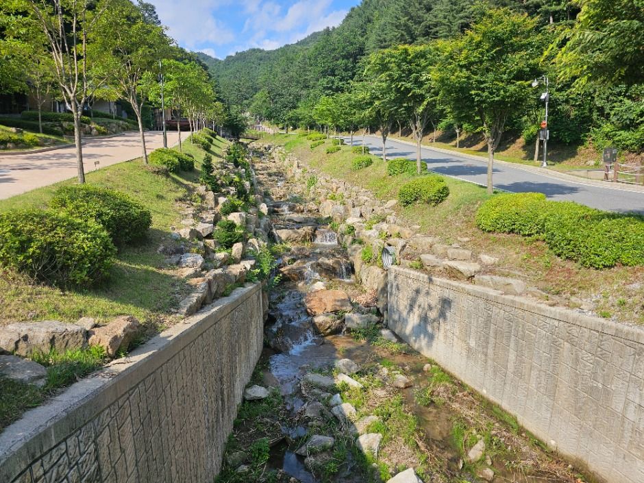 문수산자연휴양림