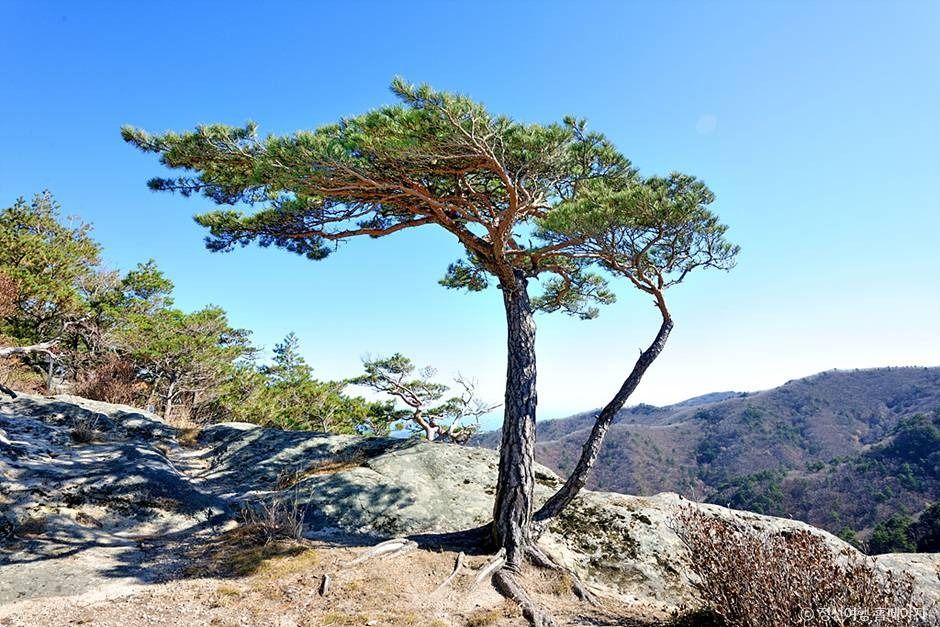 괘병산(정선)