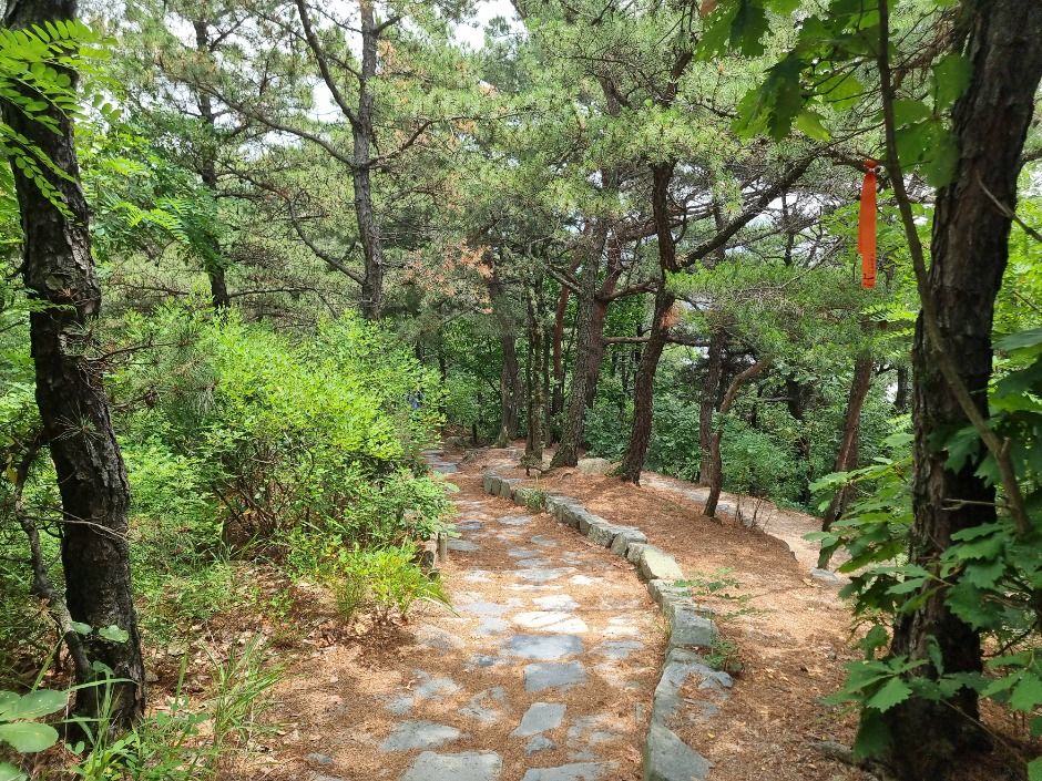 [서울둘레길 18코스] 북한산 종로코스
