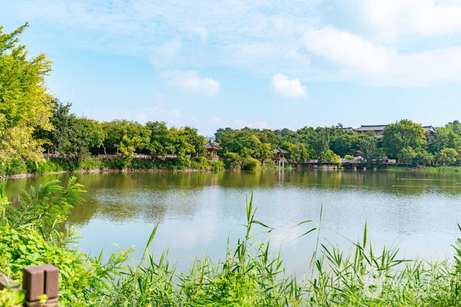 덕진공원