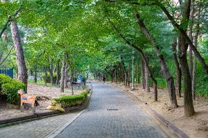 시흥_비둘기공원 (5)