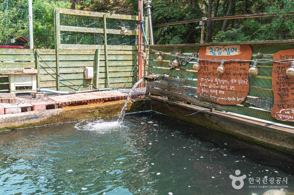 피싱파크 진산각