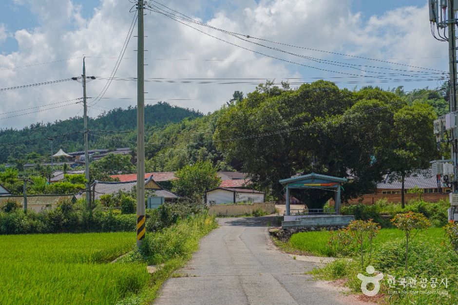 강진 갯들소리마을