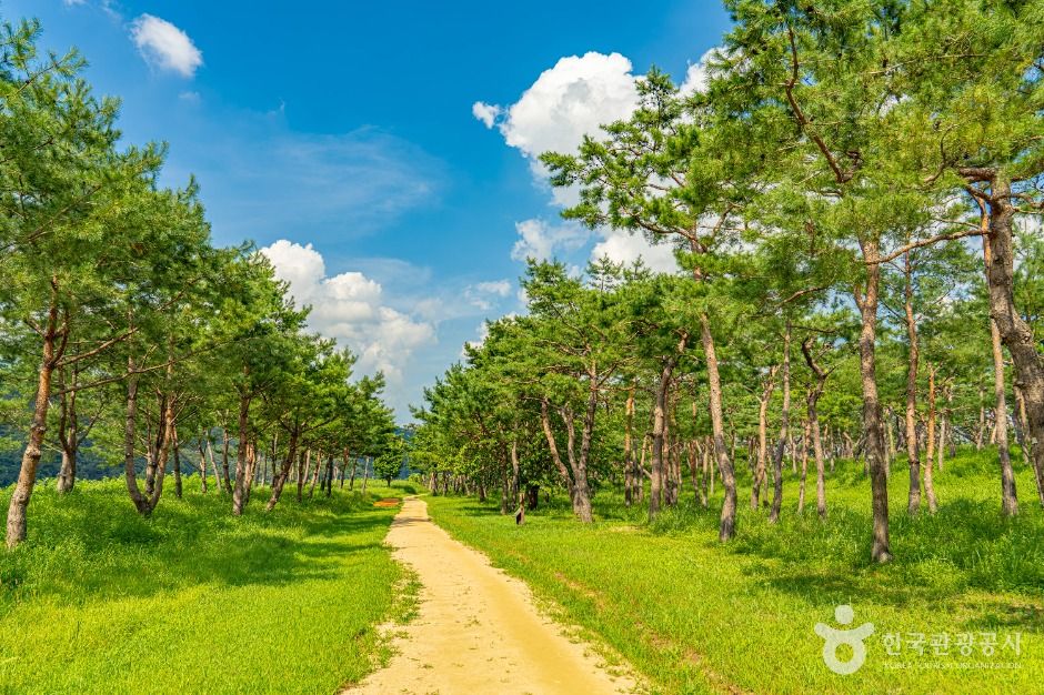 공주 고마나루