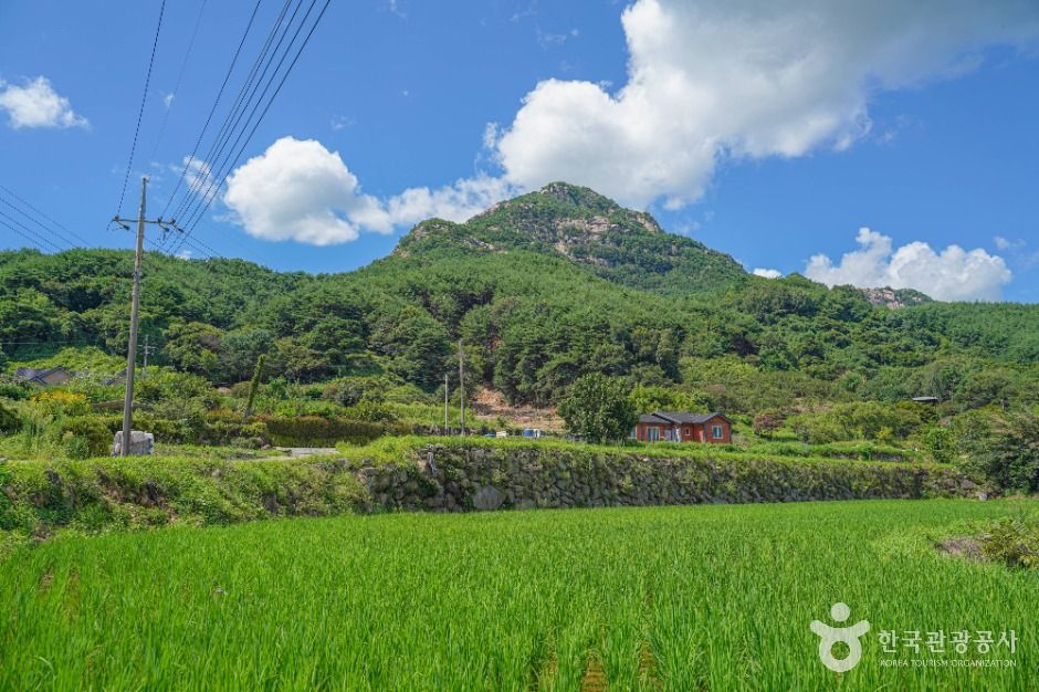 다옴농촌체험휴양마을