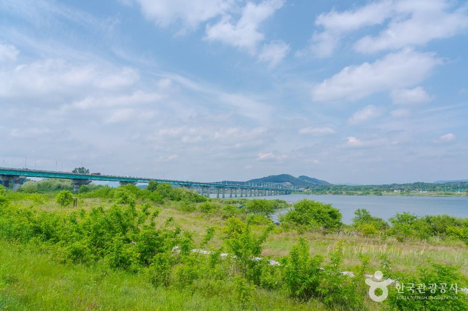 양섬