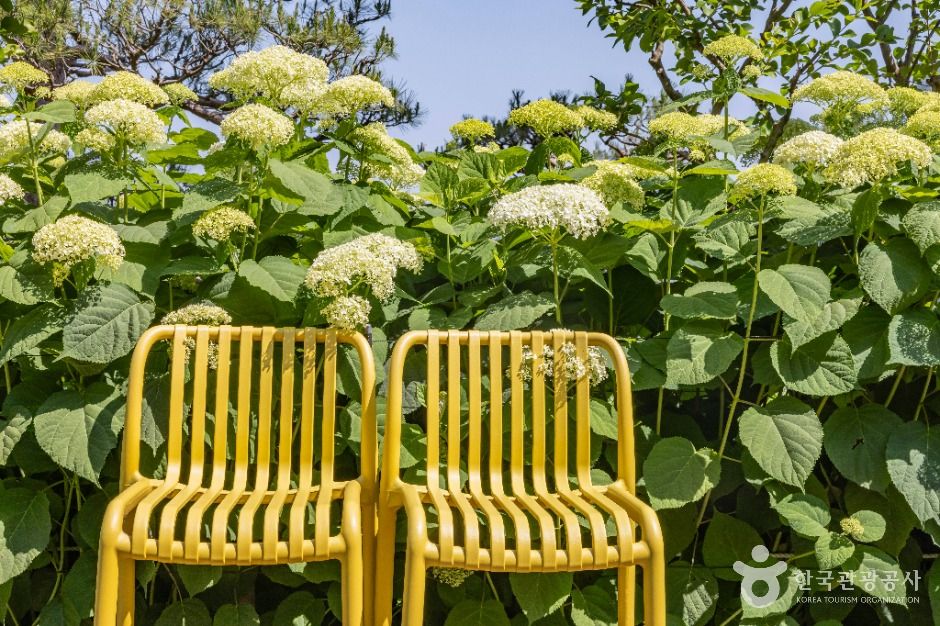 thumbnail-베이커리 카페 공간-7