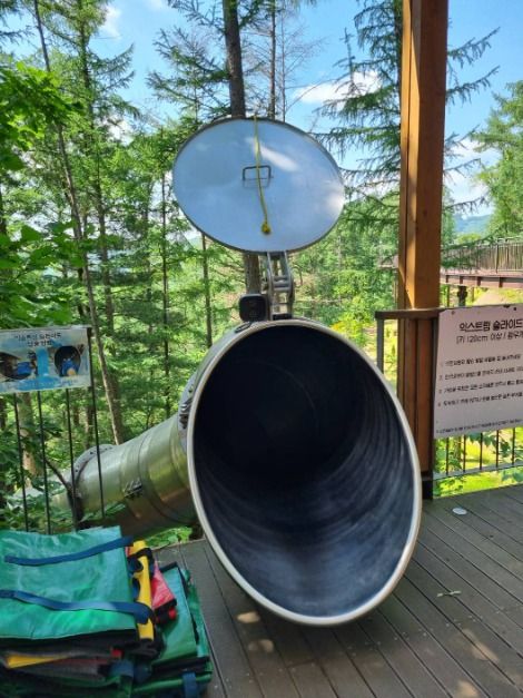 thumbnail-놀자숲-17