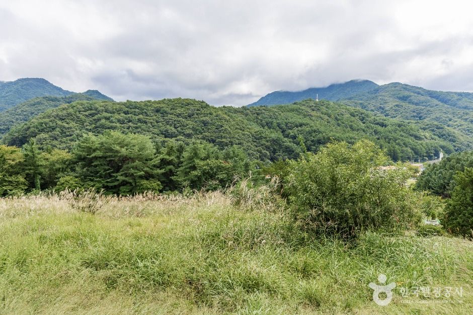 무주 삼공리 반송