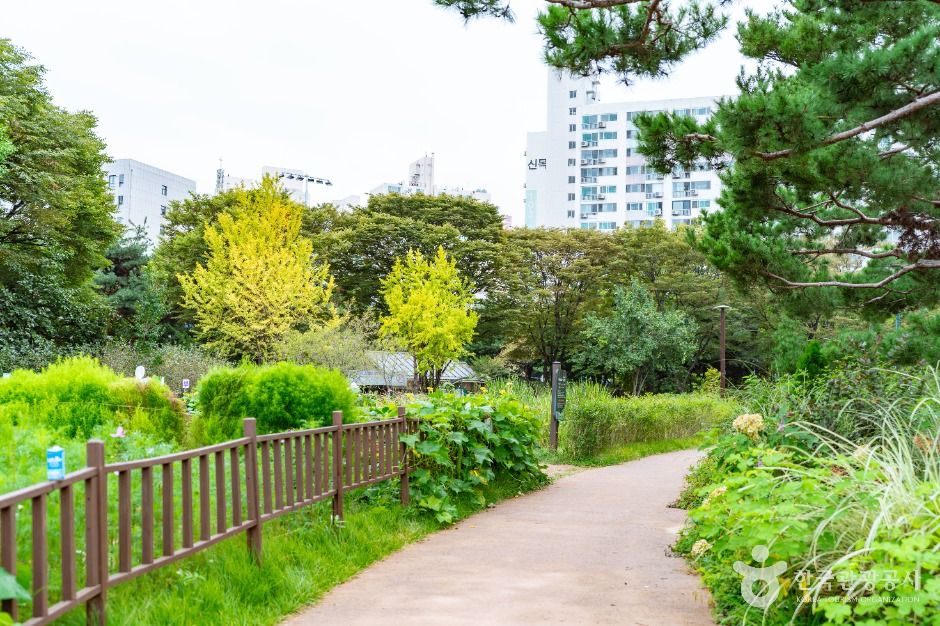 thumbnail-신트리공원(서울)-10