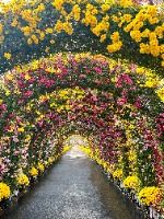 피나클랜드수목원9