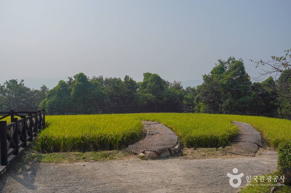 이천농업테마공원